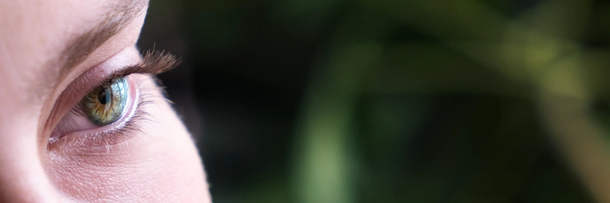 Crème contour des yeux bio et baume à lèvres naturel