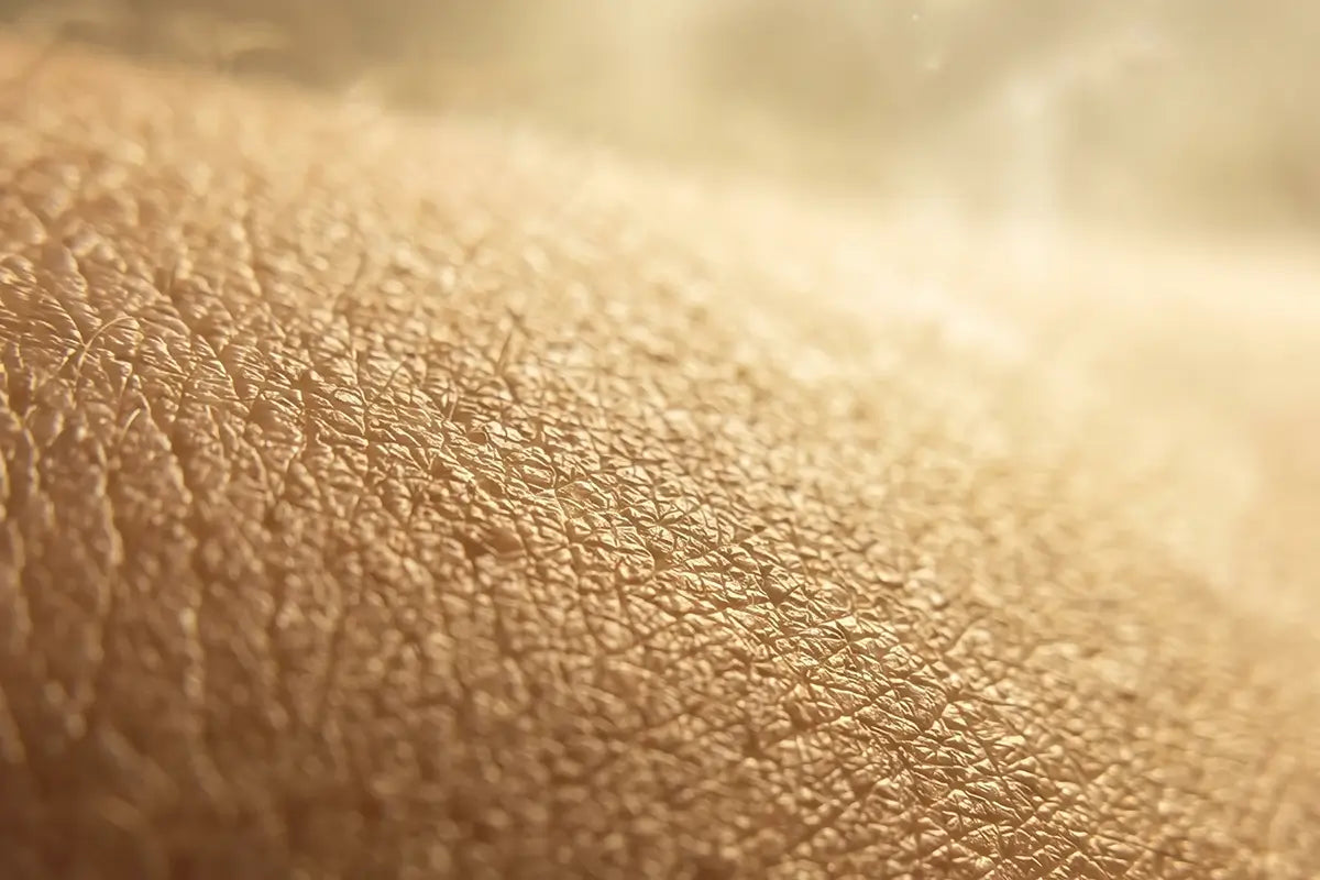 Soutien du microbiome cutané