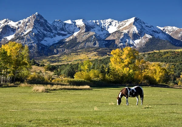 The Inner Essence - Ridgway, CO