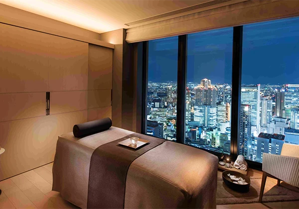 Fuji Hyatt - Japan
